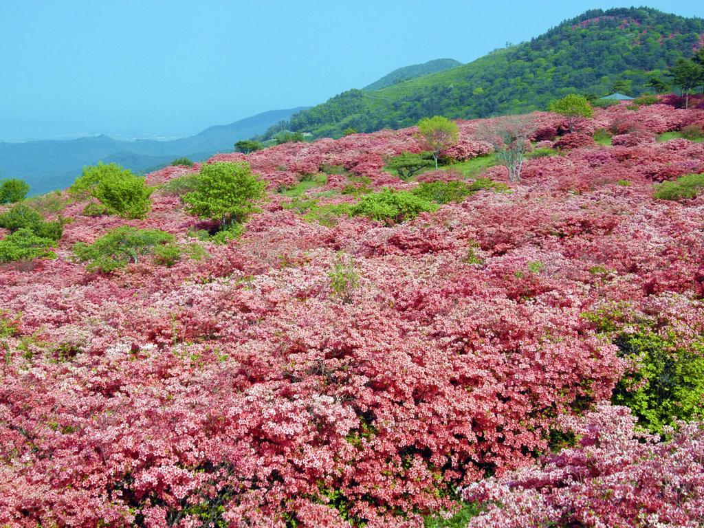 Hotel Pearl City Kesennuma Экстерьер фото